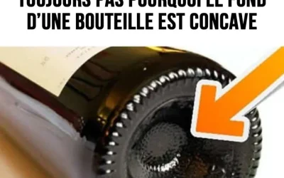 Les mystères cachés derrière le fond concave des bouteilles