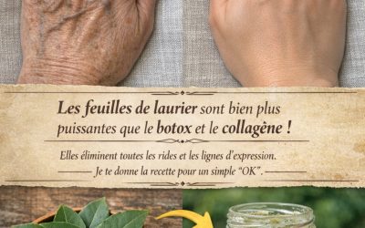 Les feuilles de laurier sont bien plus puissantes que le botox et le collagène ! Elles éliminent toutes les rides et les lignes d’expression. J’ai besoin que tu dises quelque chose pour continuer à recevoir mes recettes