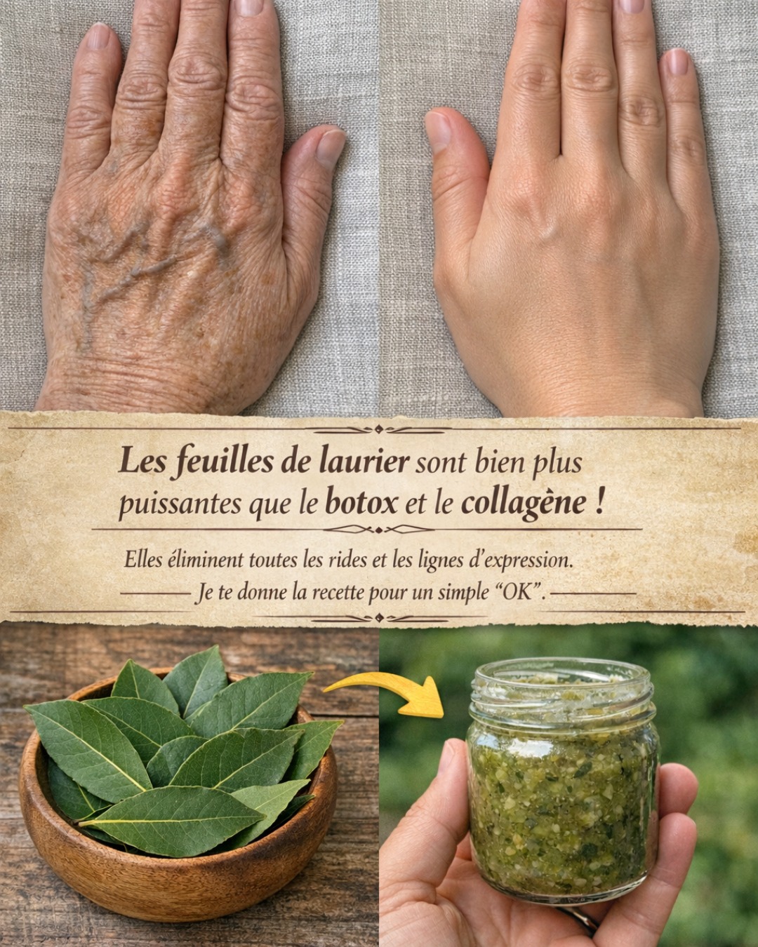 Les feuilles de laurier sont bien plus puissantes que le botox et le collagène ! Elles éliminent toutes les rides et les lignes d’expression. J’ai besoin que tu dises quelque chose pour continuer à recevoir mes recettes