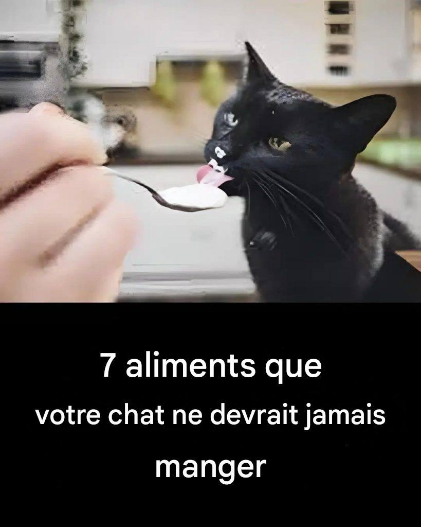 7 aliments que vous ne devriez pas donner à votre chat