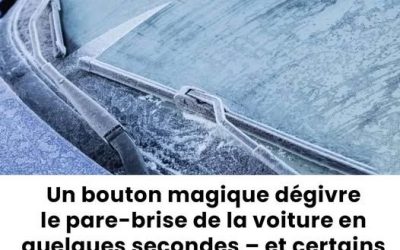 Un bouton magique dégivre le pare-brise en quelques secondes.?