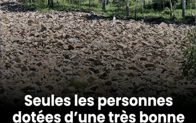 Seules les personnes dotées d’une très bonne vue parviennent à repérer la femme cachée dans les rochers.