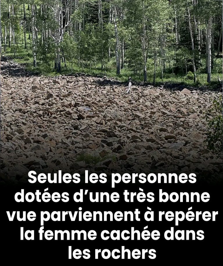 Seules les personnes dotées d’une très bonne vue parviennent à repérer la femme cachée dans les rochers.
