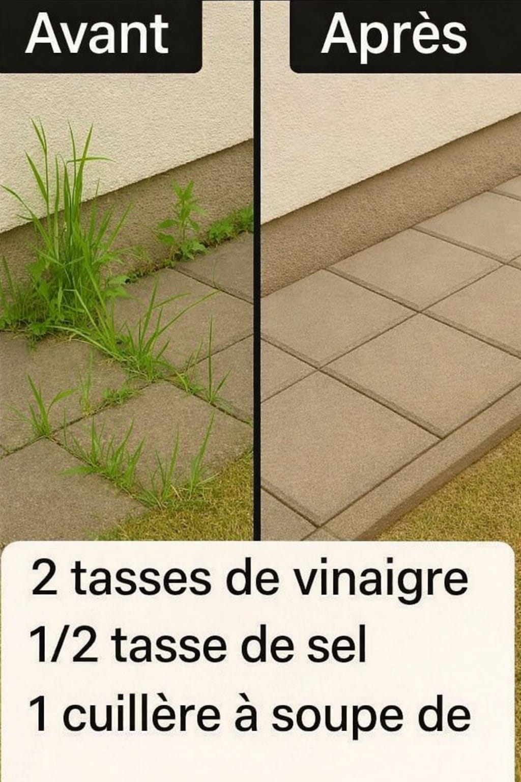 Comment fabriquer un herbicide maison super efficace