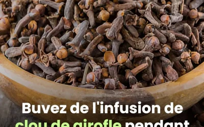 Les avantages méconnus de boire de l’infusion de clou de girofle