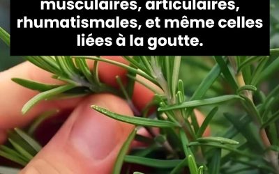 Une infusion qui fait du bien..