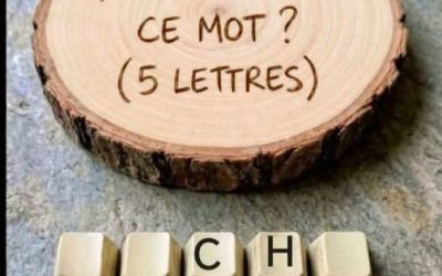 Seuls les vrais passionnés de jeux de mots trouvent ce mot mystère ! reponse ci dessous