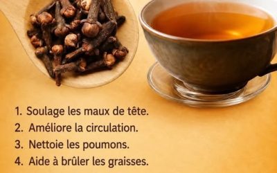 Un médecin japonais recommande de boire du thé aux clous de girofle le soir… voir plus.