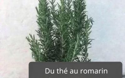 On l’appelle morphine naturelle car elle soulage les douleurs musculaires, articulaires et rhumatismales. Pour continuer à recevoir mes recettes, il vous suffit de dire… Merci !