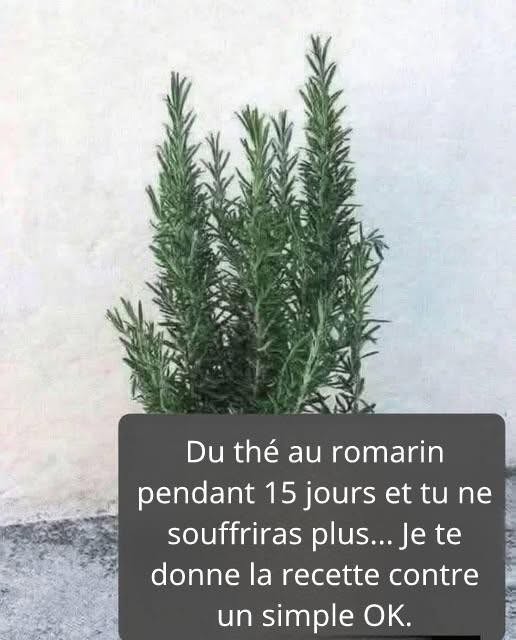 On l’appelle morphine naturelle car elle soulage les douleurs musculaires, articulaires et rhumatismales. Pour continuer à recevoir mes recettes, il vous suffit de dire… Merci !