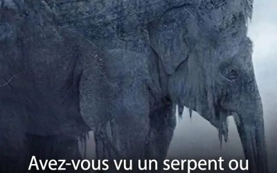 Serpent ou éléphant : cette illusion d’optique virale dit tout sur votre façon de voir l’avenir