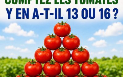 TEST VISUEL : COMBIEN DE TOMATES VOYEZ-VOUS ?