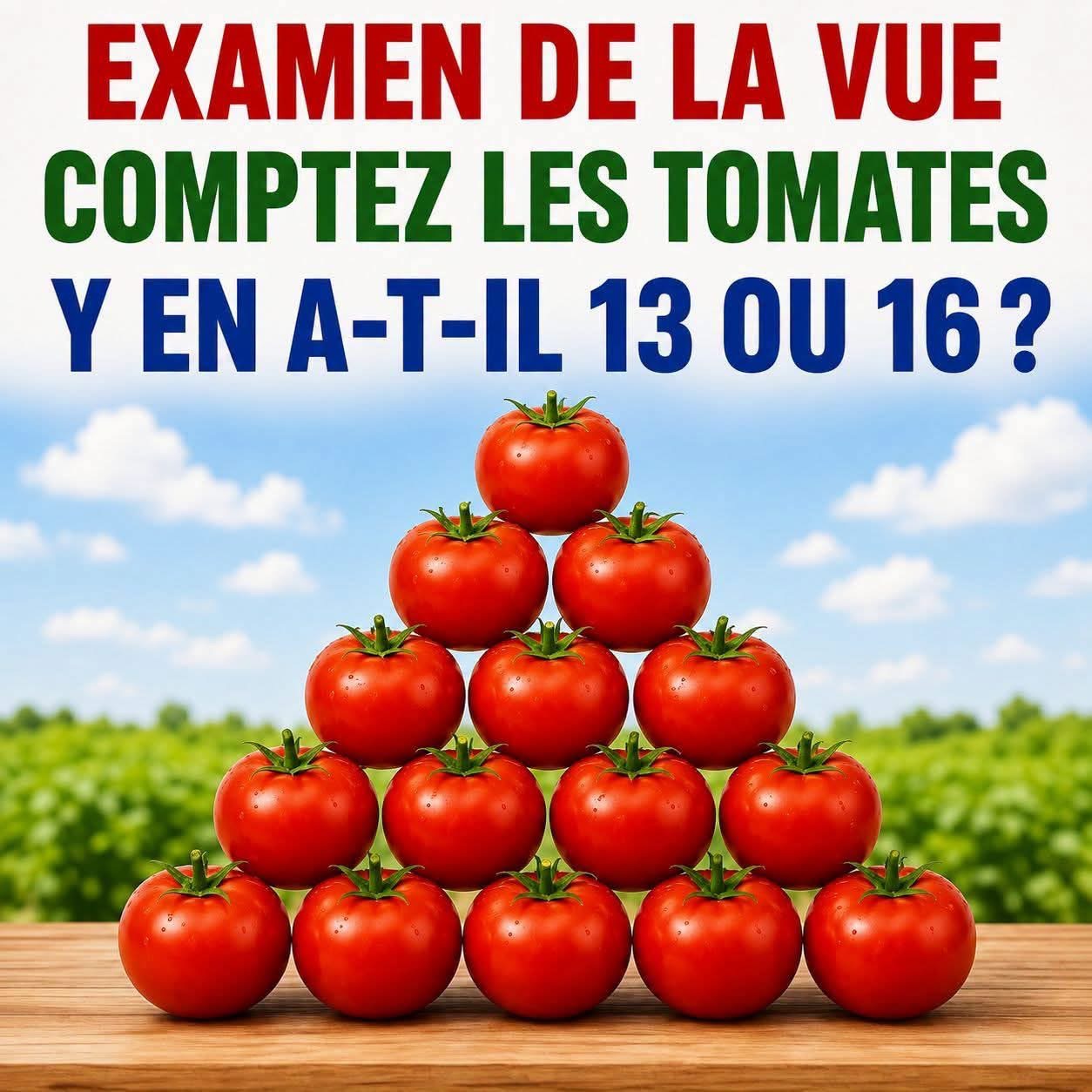 TEST VISUEL : COMBIEN DE TOMATES VOYEZ-VOUS ?