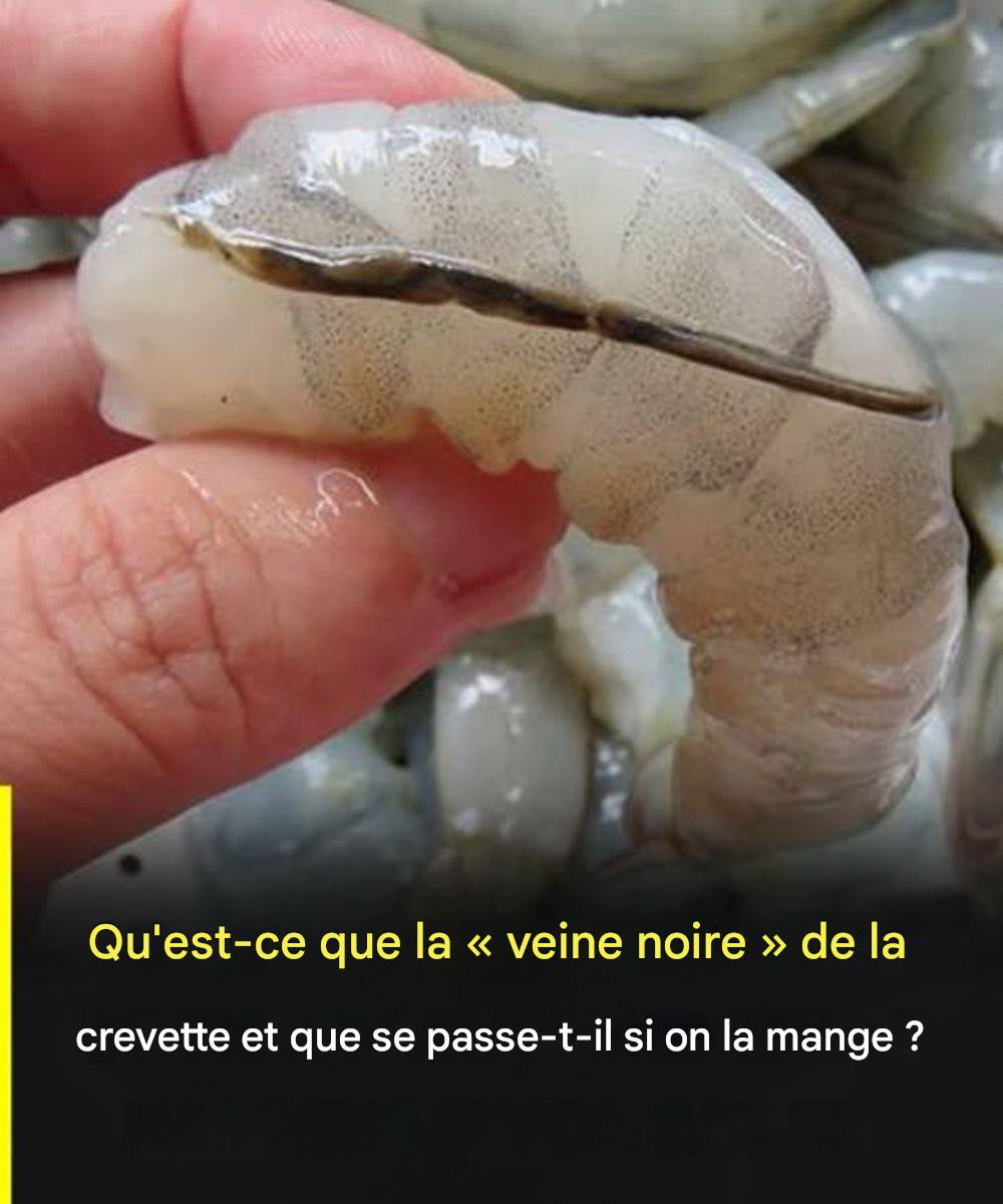 Qu’est-ce que la veine de la crevette, au juste ?… Voir plus