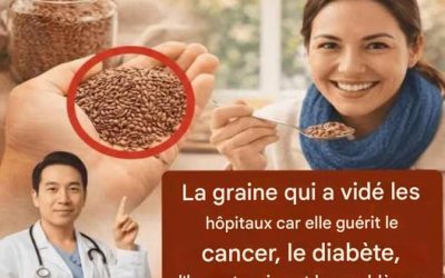 Le cancer déteste ces 3 graines – Les personnes âgées devraient en consommer quotidiennement.