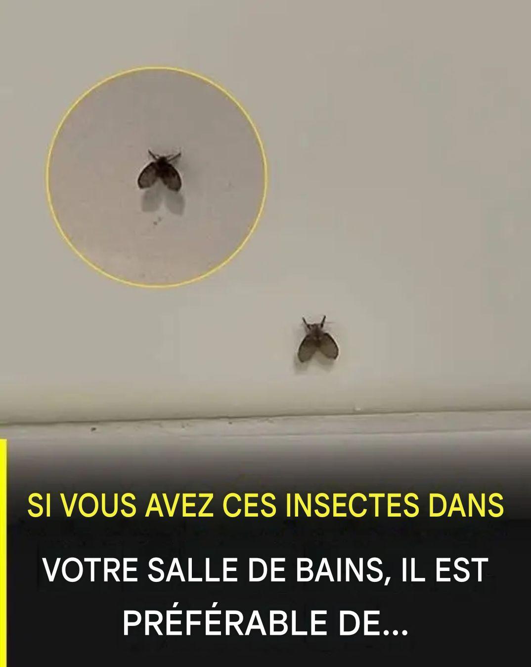 Je ne savais pas ce que c’était 😨 Regarde le premier commentaire…