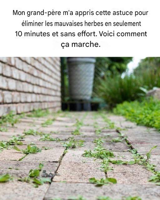 Je n’en avais aucune idée ! C’est bon à savoir !