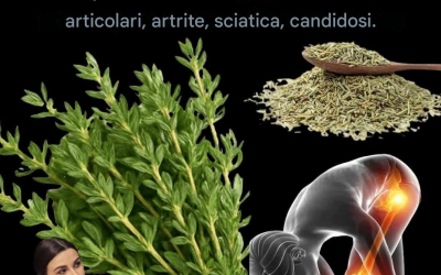 Thym : Élimine le Candida, l’herpès, le virus de la grippe, le cancer et bien plus encore.