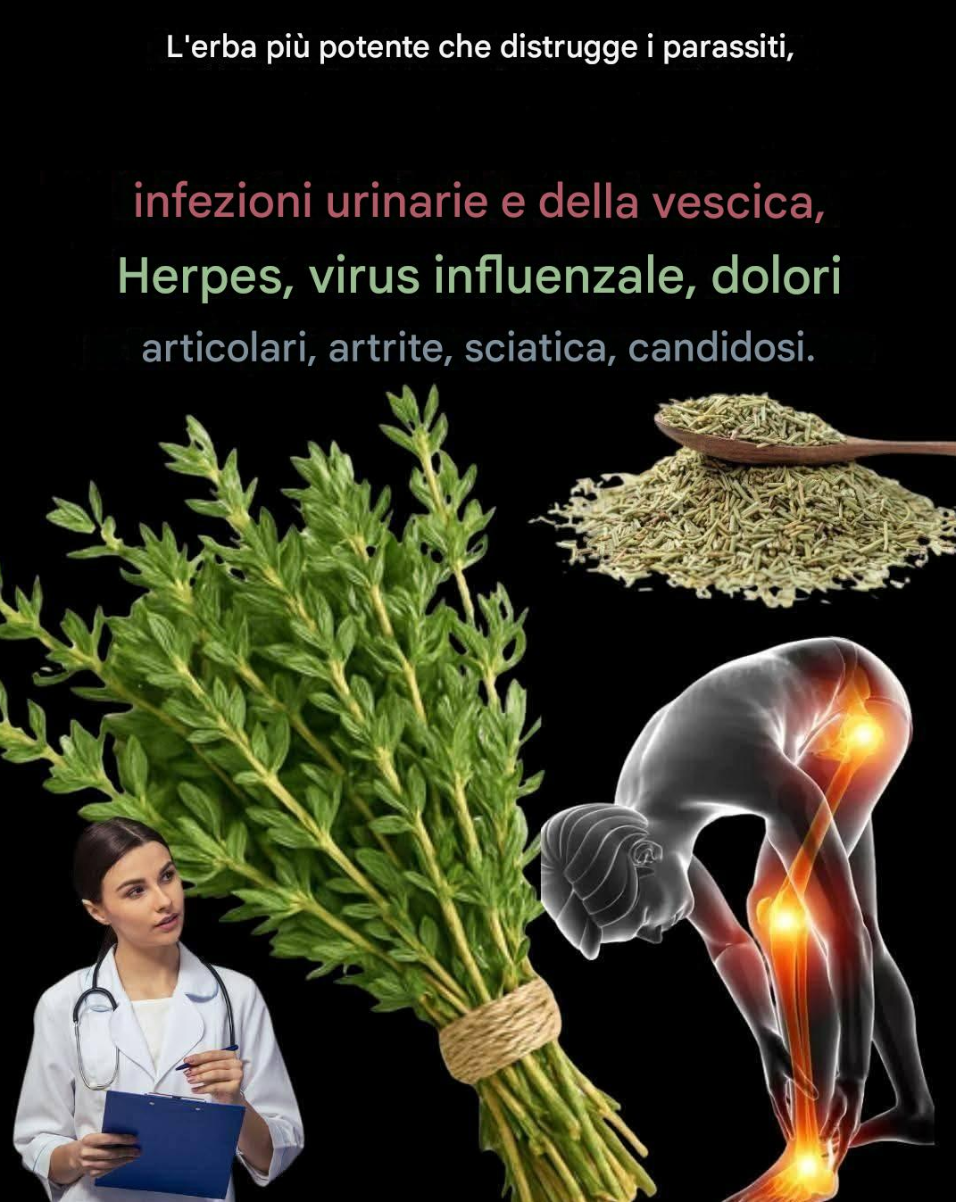 Thym : Élimine le Candida, l’herpès, le virus de la grippe, le cancer et bien plus encore.