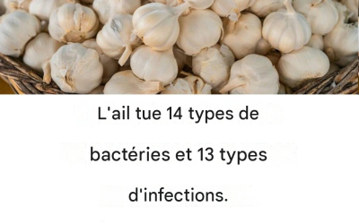 Utilisez-vous de l’ail en cuisine ? Voici les bienfaits de ce légume… Lire la suite