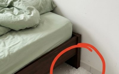 Le soir, après une longue journée de travail, je suis rentré chez moi épuisé, avec une seule envie : dormir et me reposer. C’est alors que, près de mon lit, j’ai soudainement aperçu ça. Honnêtement, j’ai eu vraiment très peur. Une fois la frayeur passée, j’ai commencé à l’examiner attentivement pour tenter de comprendre de quoi il s’agissait, mais je n’arrive toujours pas à trouver. Est-ce que quelqu’un sait ce que c’est ? Rendez-vous dans le premier commentaire pour avoir la réponse