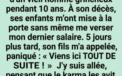 Dix ans de silence et un héritage secret : ce que cachait l’enveloppe sous le lit du millionnaire